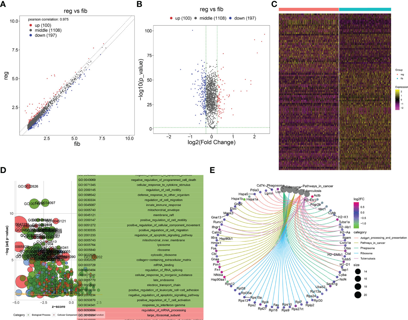 Frontiers | Single-Cell RNA-seq Analysis Reveals Cellular Functional ...