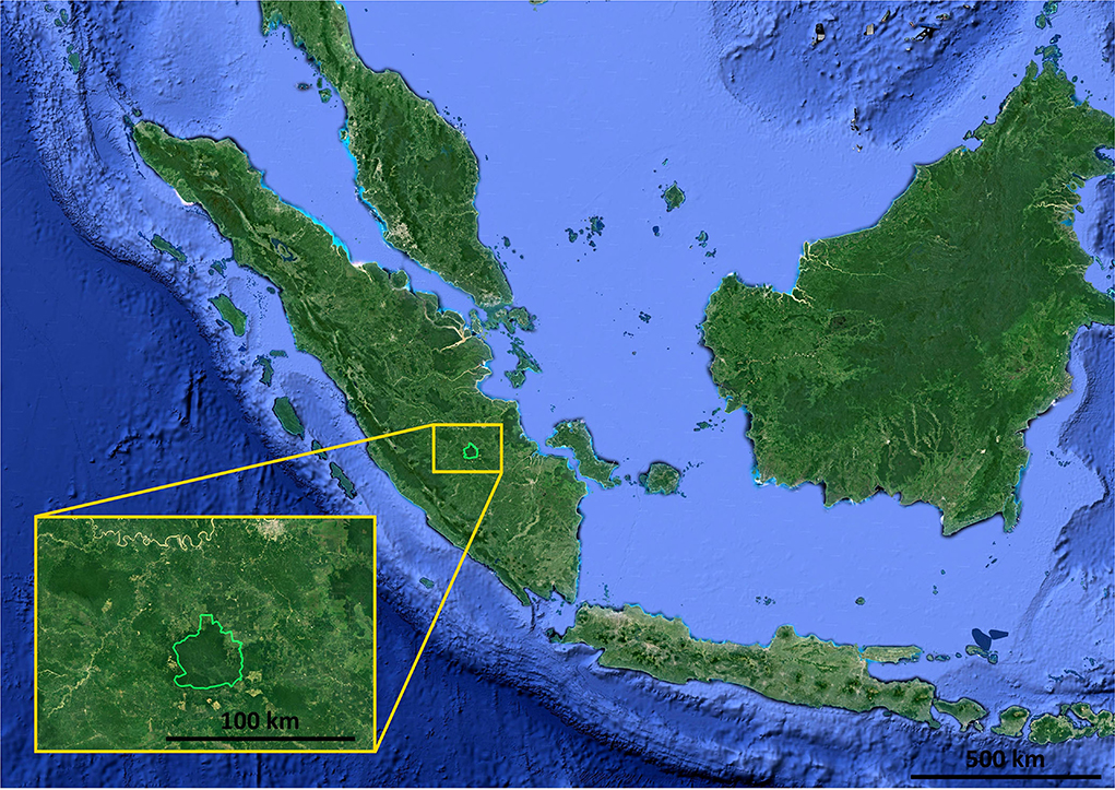 A protocol for canopy cover monitoring on forest restoration projects using  low-cost drones