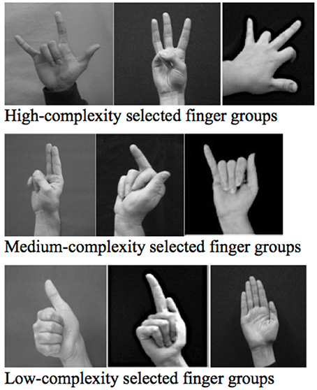 The basic hand shapes with index from 1 to 13.