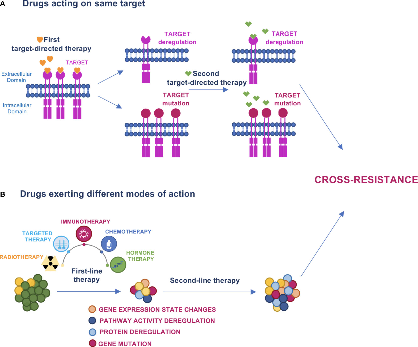 What Is Cross Resistance In Pharmacology