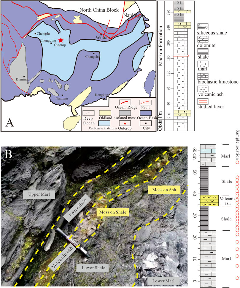Frontiers | Rhyolitic Ash Promoting Organic Matter Enrichment in a 