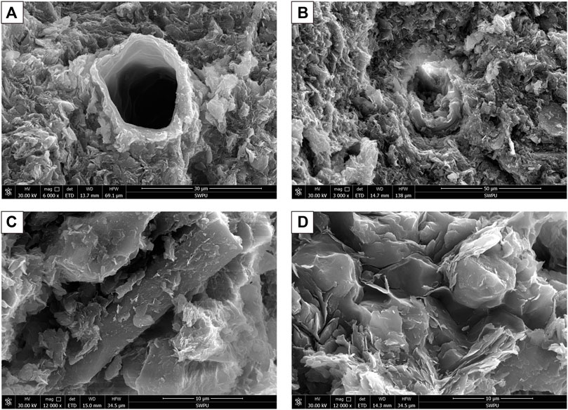 Frontiers | Rhyolitic Ash Promoting Organic Matter Enrichment in a 