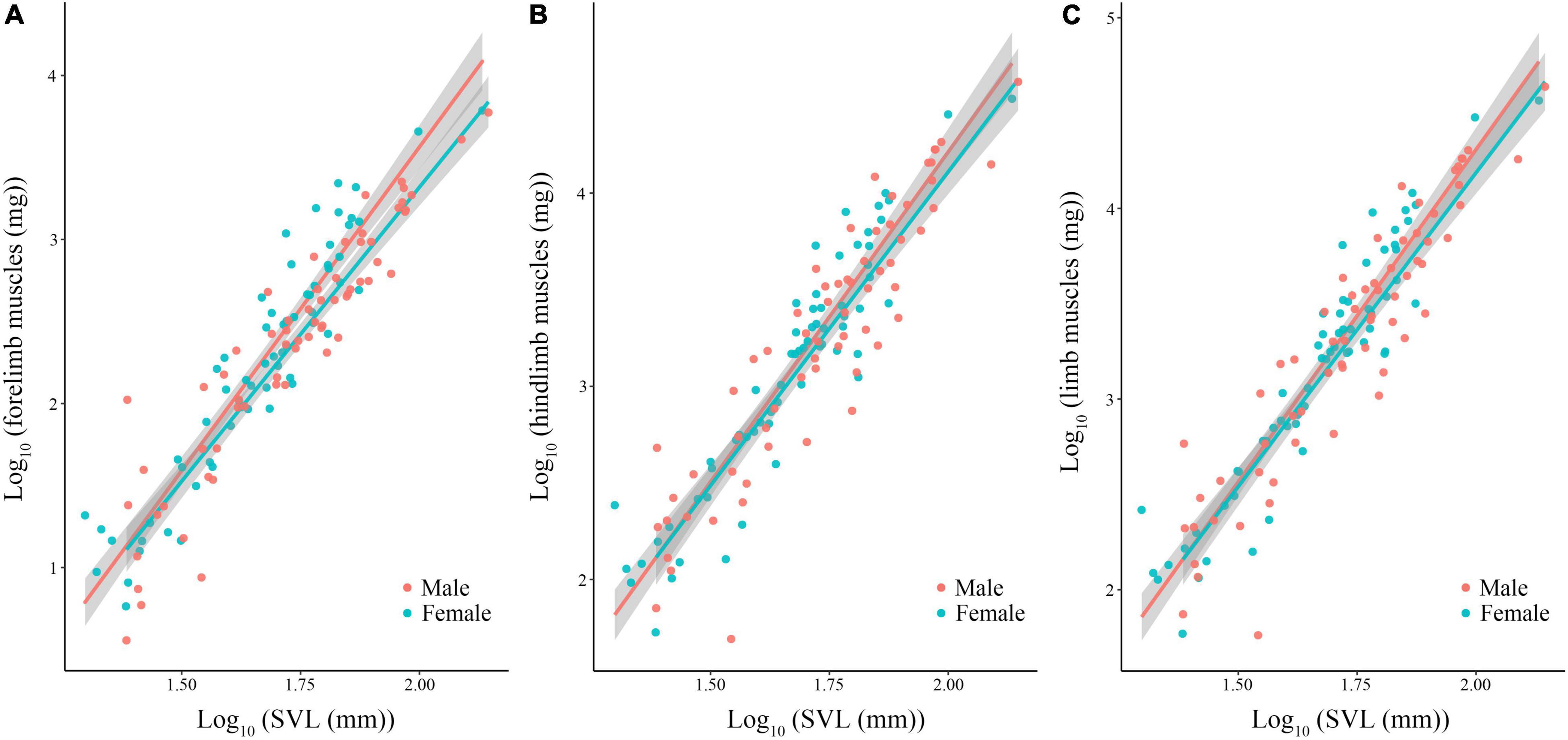 Frontiers Testing the Role of Environmental Harshness and Sexual