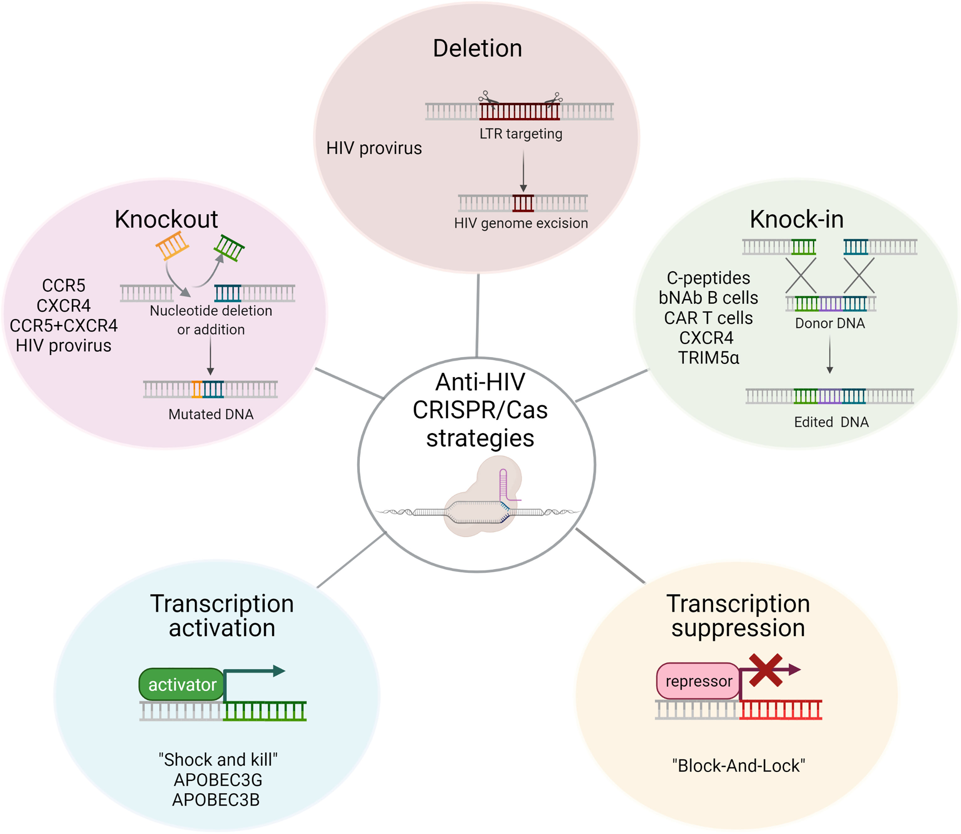 Frontiers Application Of Crisprcas Genomic Editing Tools For Hiv