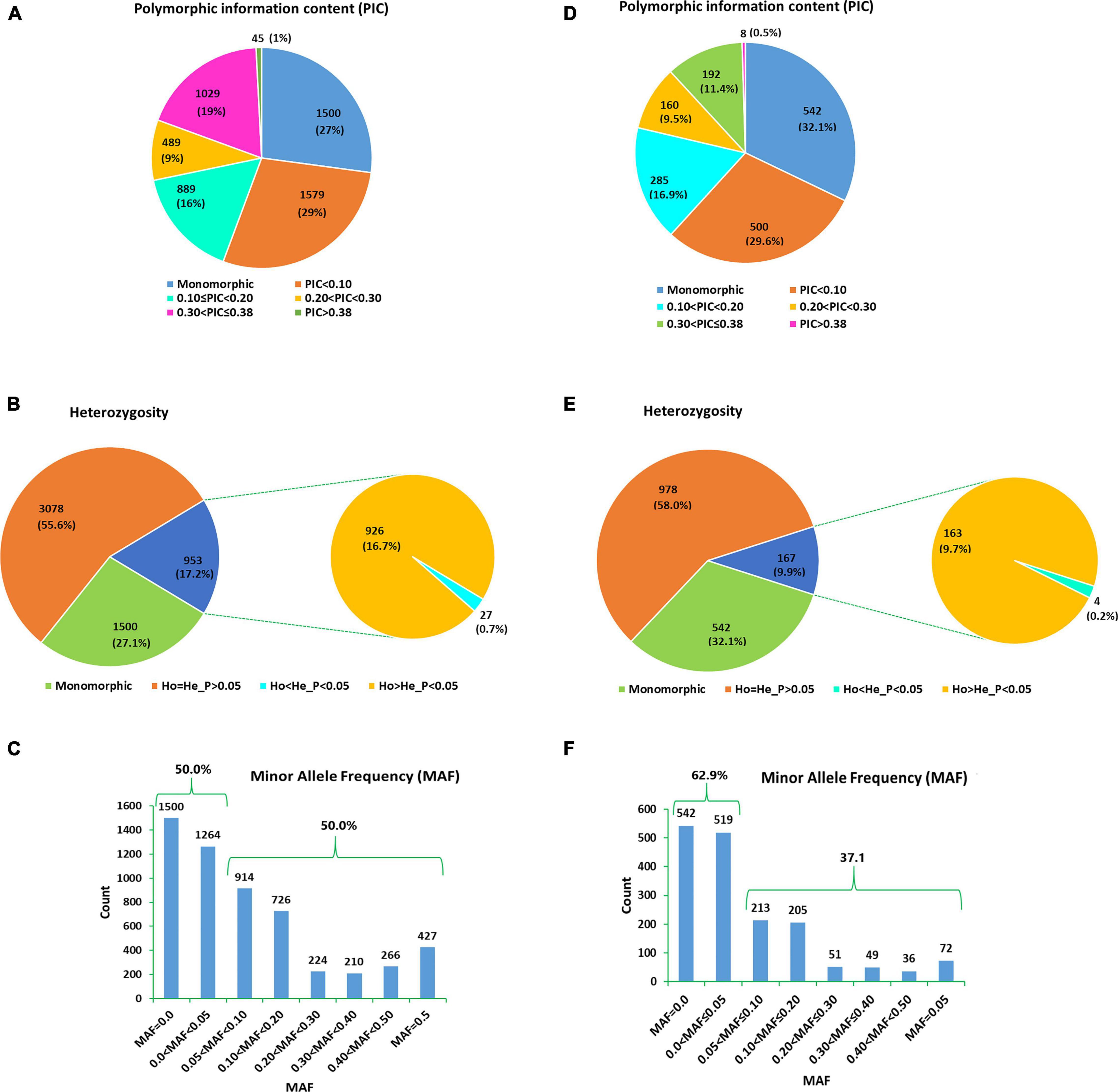 Frontiers RNA Seq Provides Novel Genomic Resources for Noug