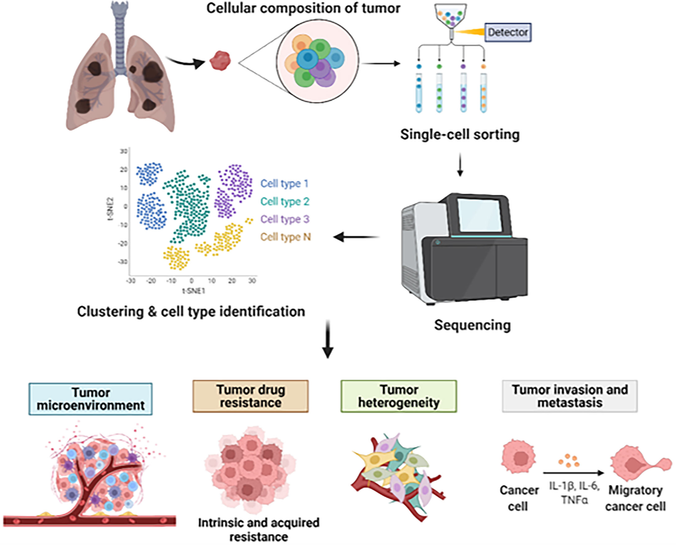 Frontiers Decoding Lung Cancer At Single Cell Level