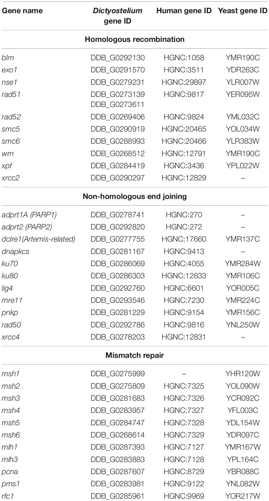 Frontiers | Insights on Microsatellite Characteristics, Evolution, and