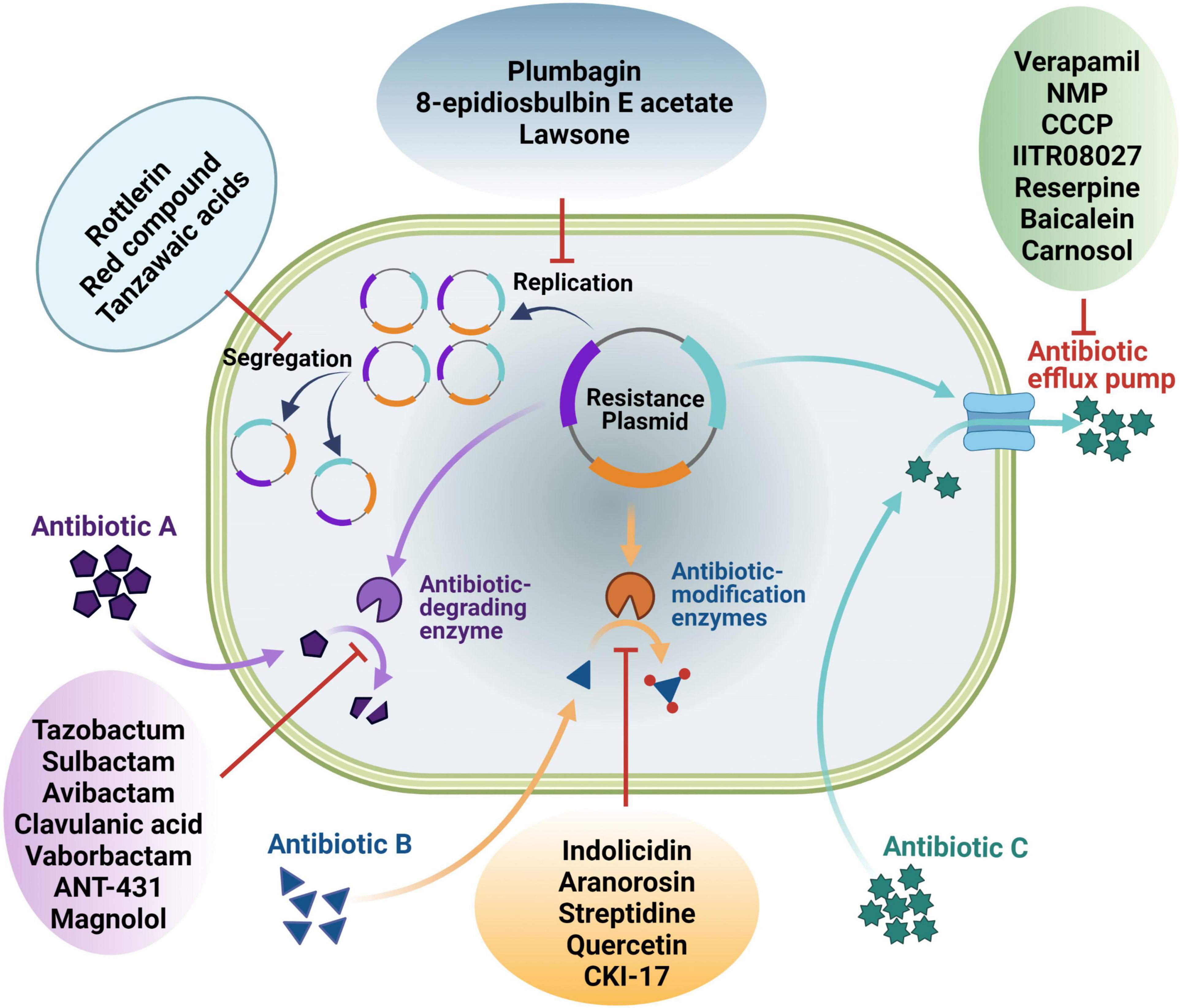 Frontiers Antibiotic Potentiators Against Multidrug Resistant 