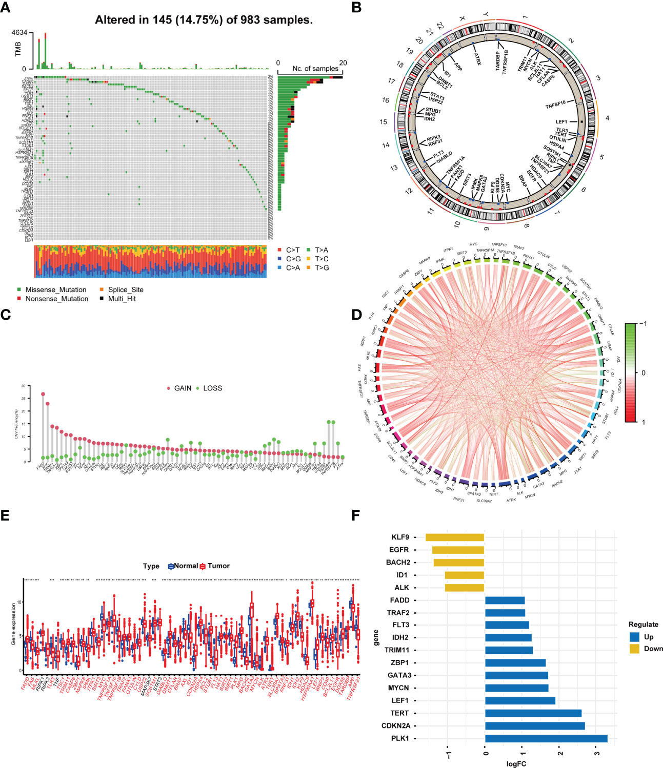 Frontiers | Necroptosis-Related LncRNAs Signature And Subtypes For ...