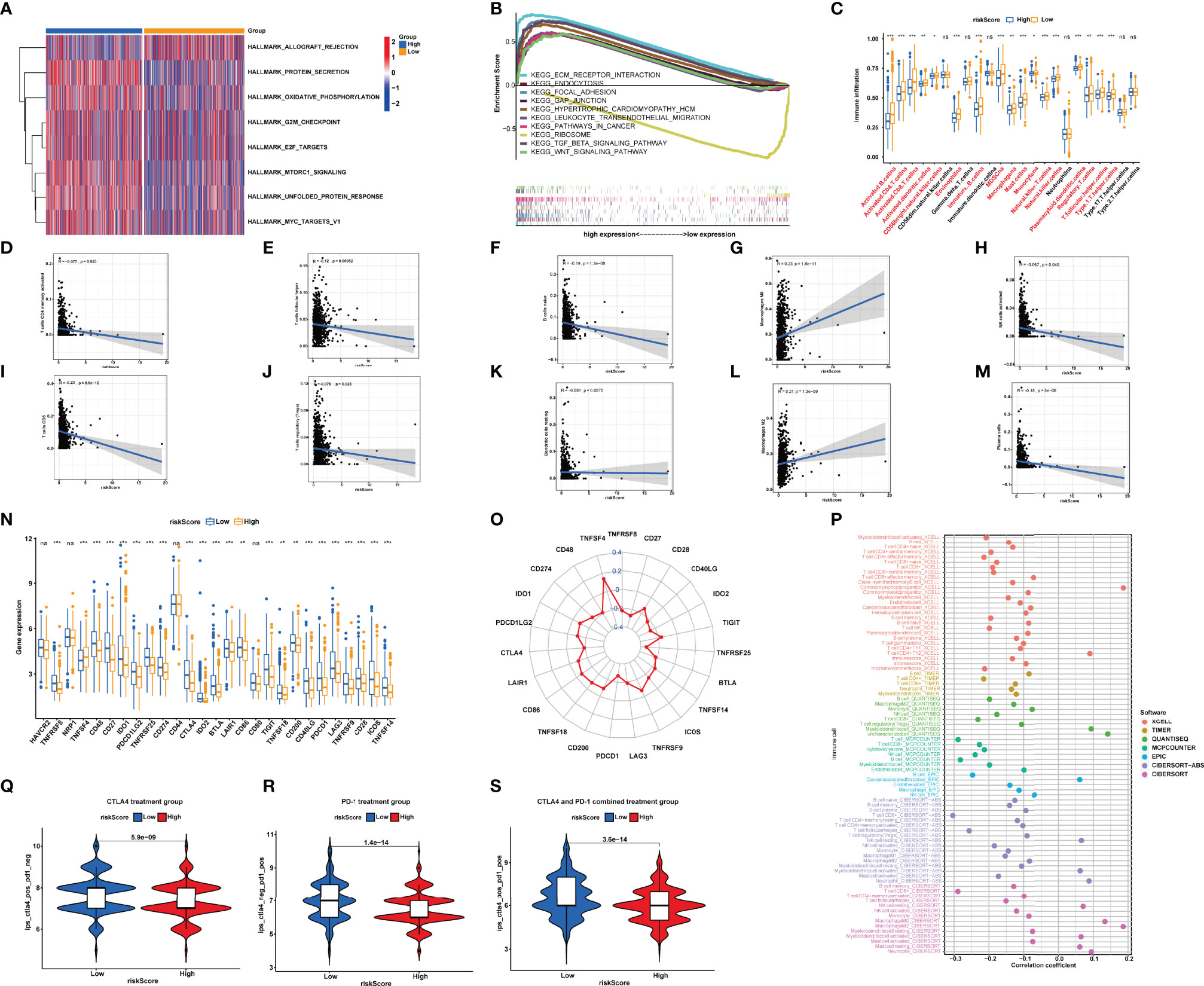 Frontiers | Necroptosis-Related LncRNAs Signature And Subtypes For ...