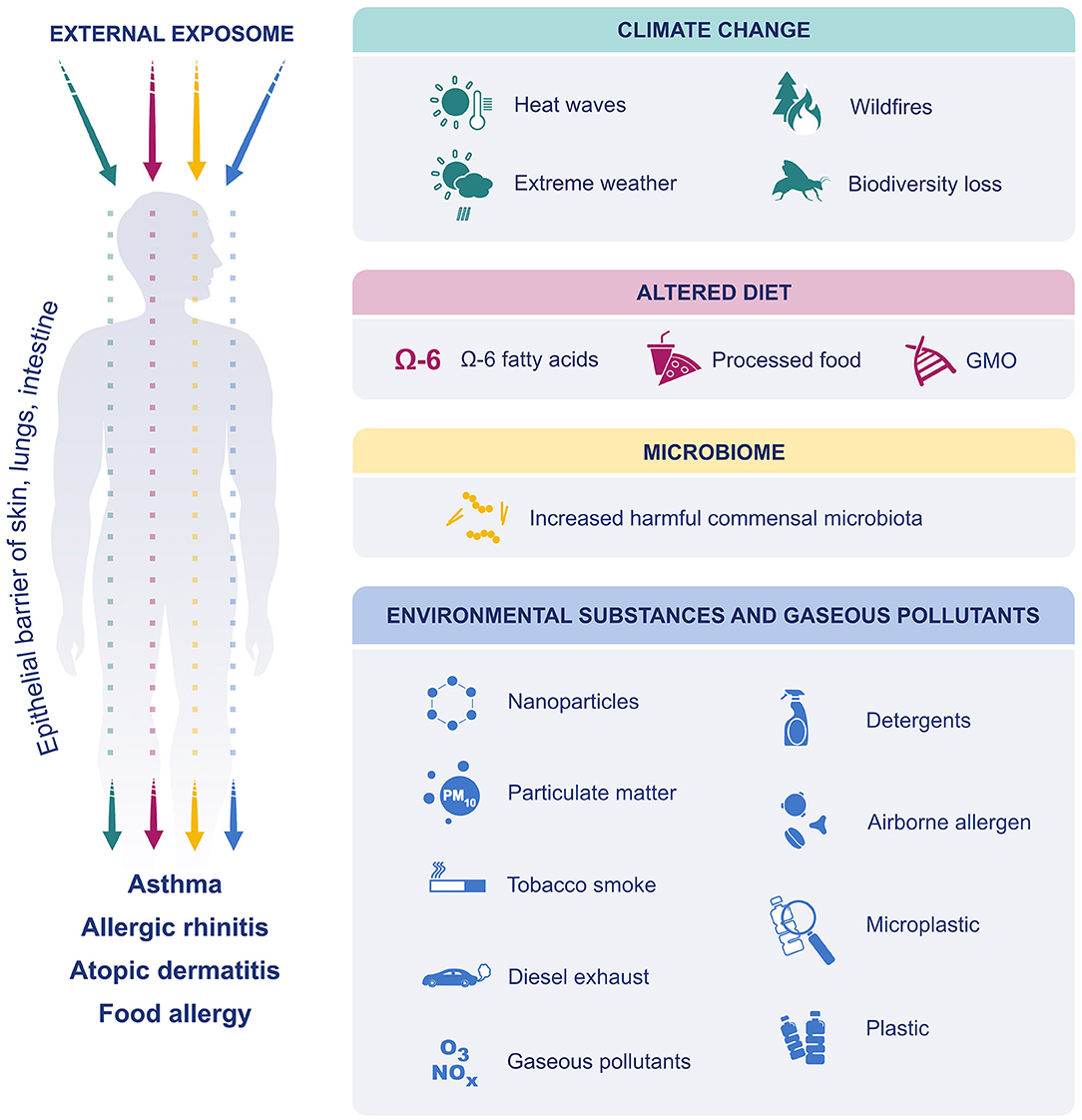 Frontiers The External Exposome And Allergies From The Perspective 