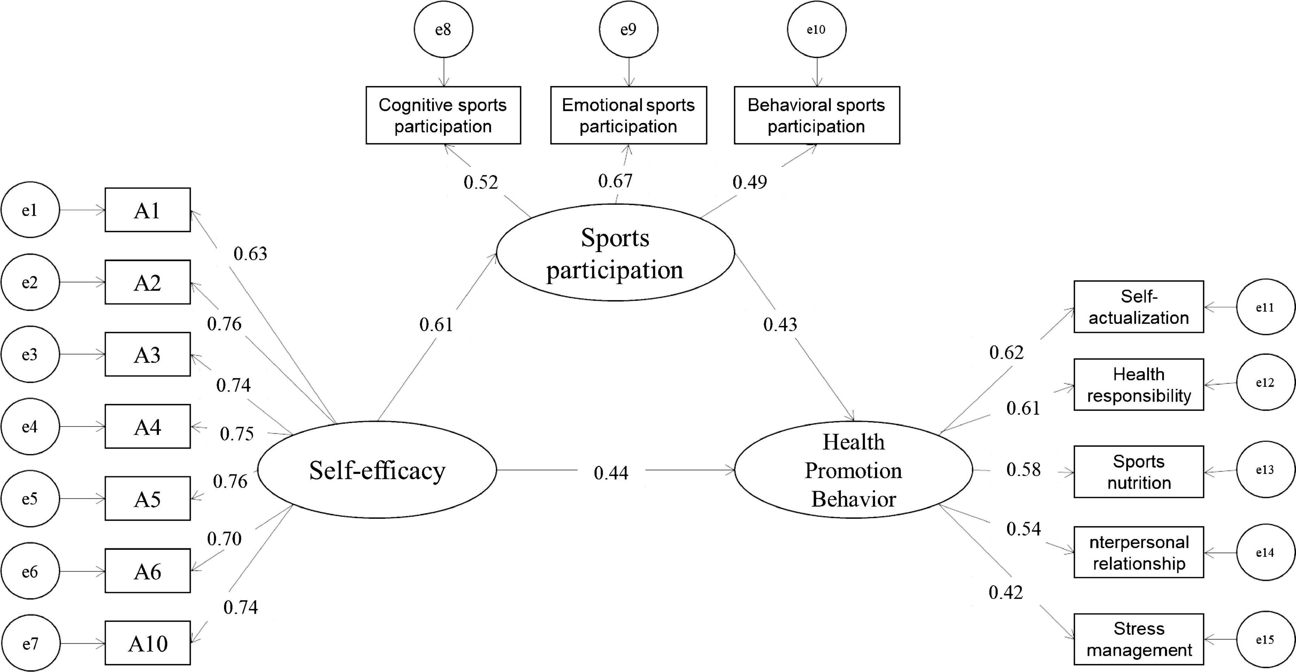 Frontiers  Effects of middle-aged and elderly people's self-efficacy on  health promotion behaviors: Mediating effects of sports participation