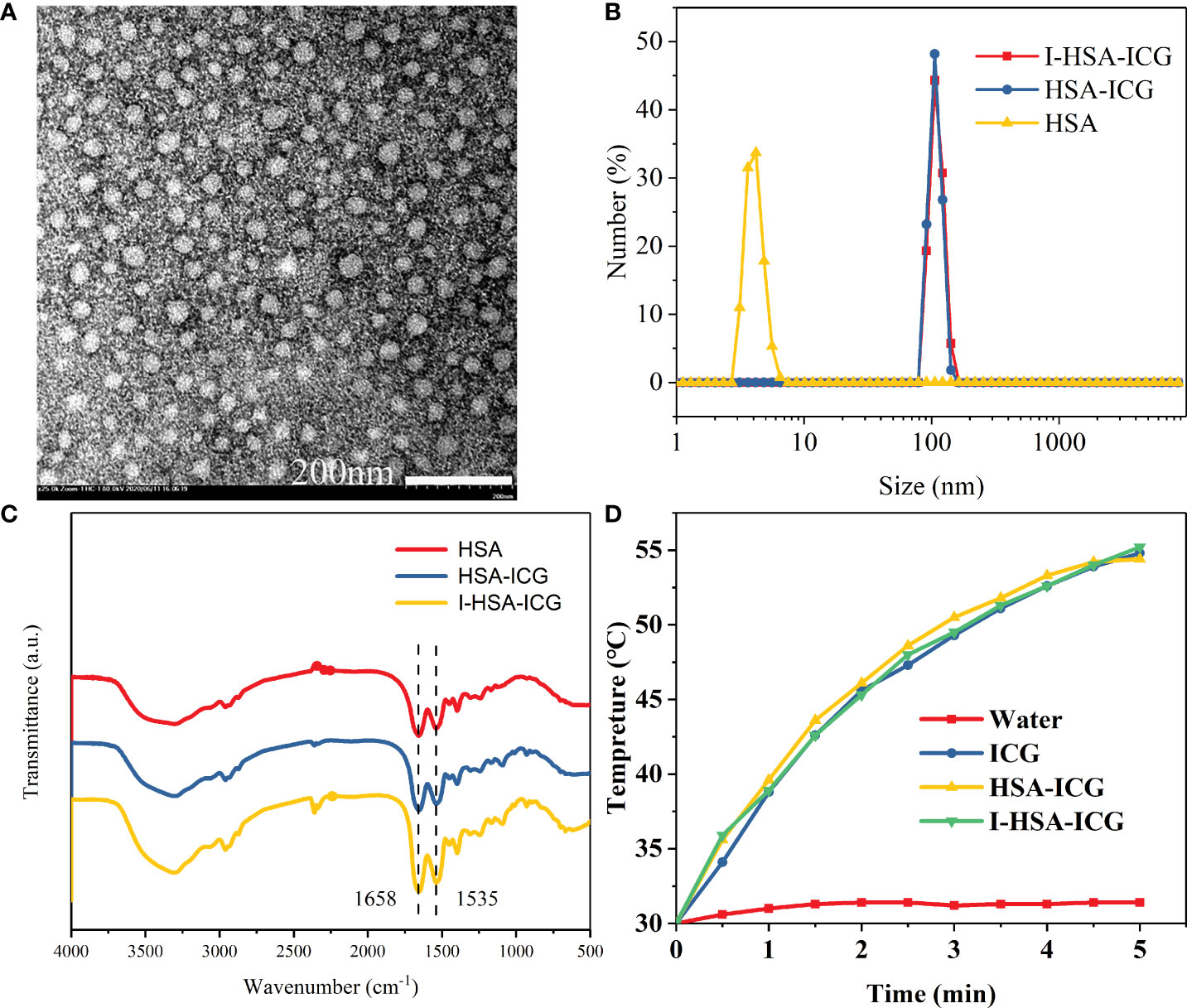 HSA-MnO2-131I Combined Imaging and Treatment of Anaplastic Thyroid