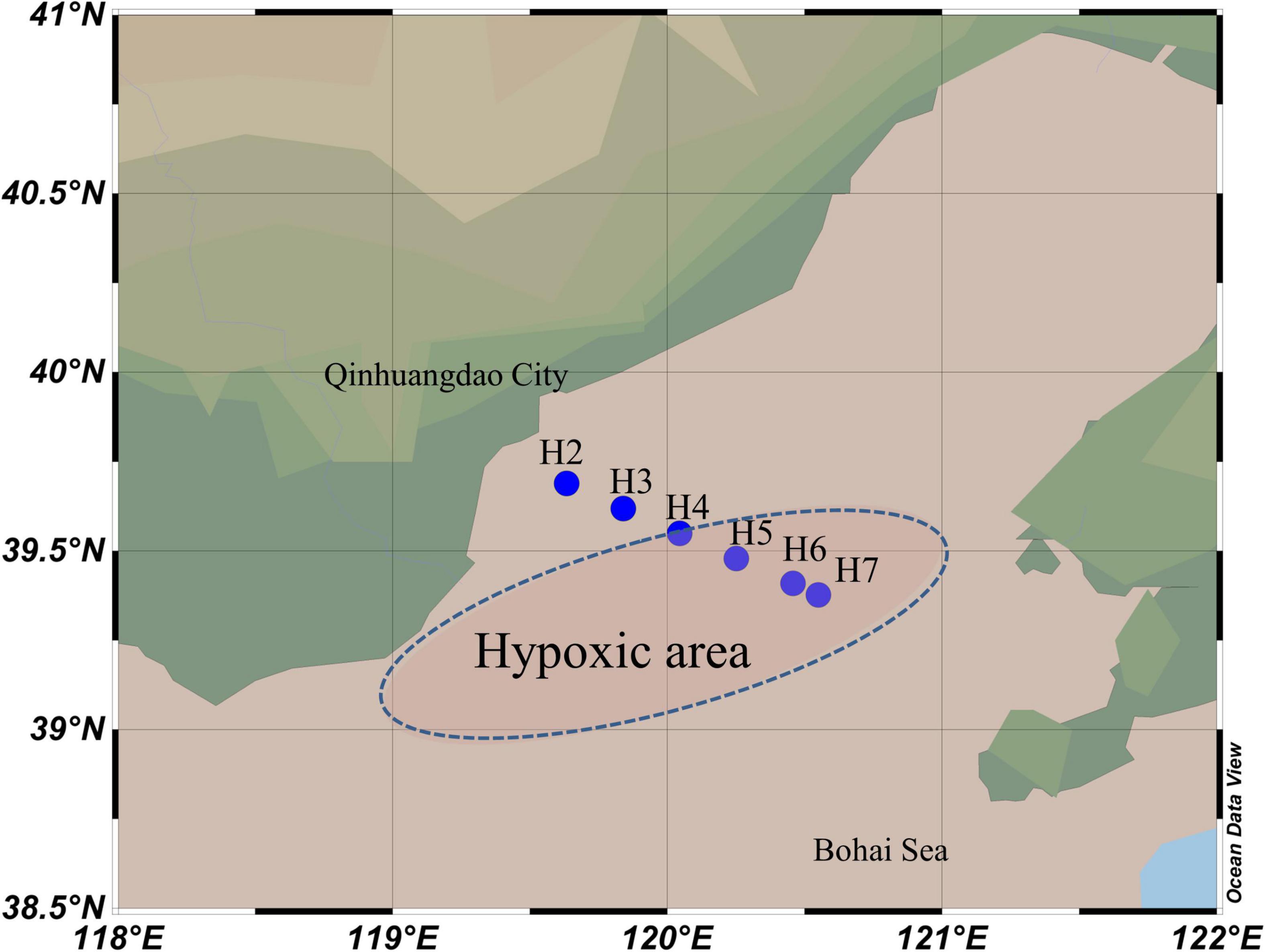 Frontiers  Understanding the Variation of Bacteria in Response to  Summertime Oxygen Depletion in Water Column of Bohai Sea