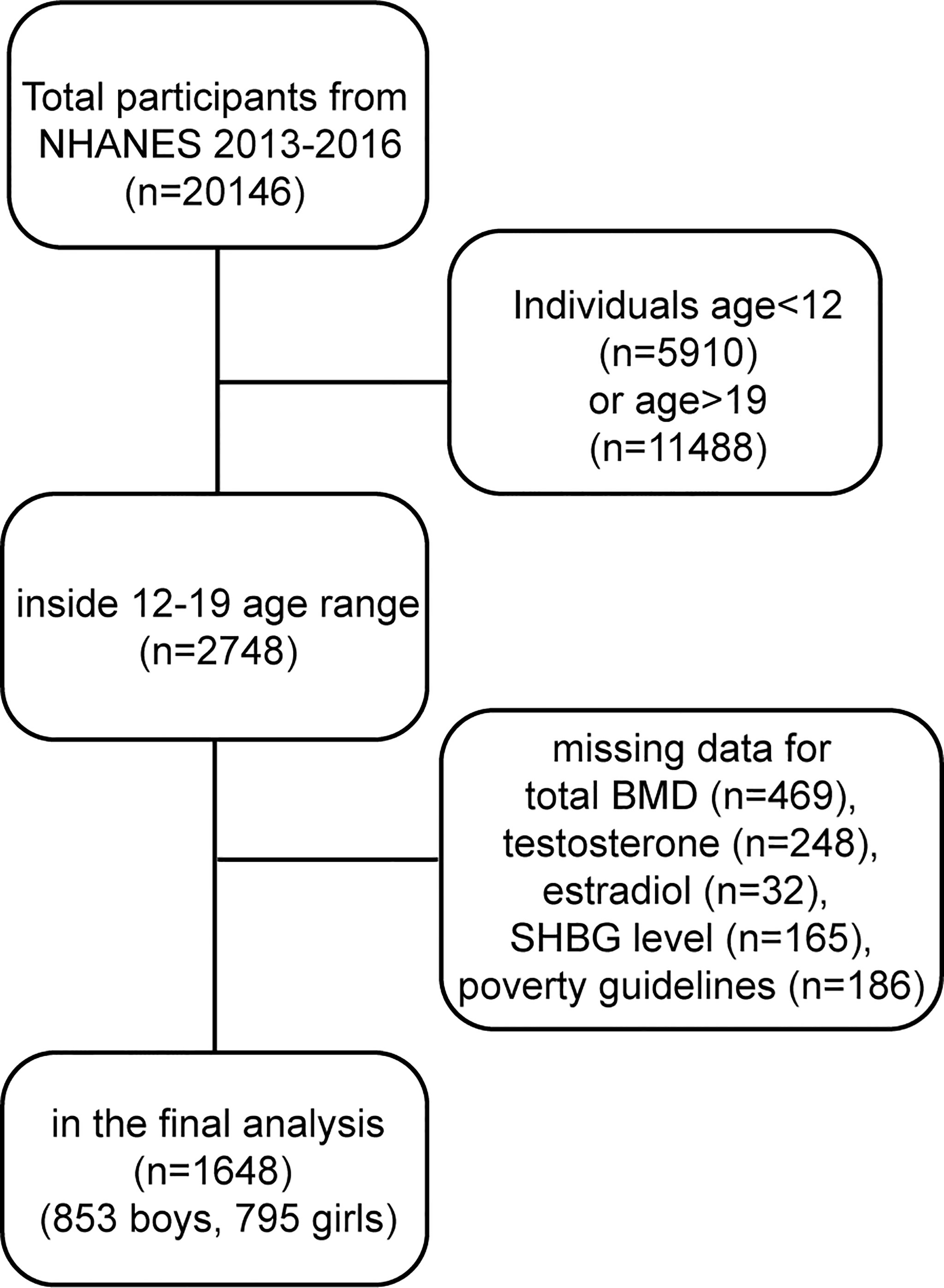 Frontiers | Association of Sex Hormones and Sex Hormone-Binding Globulin  Levels With Bone Mineral Density in Adolescents Aged 12–19 Years