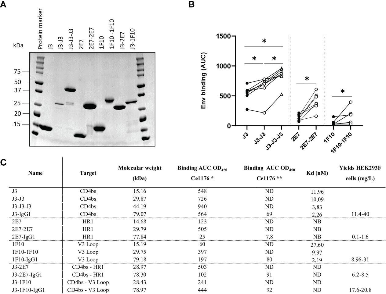 Frontiers | Anti-HIV-1 Nanobody-IgG1 Constructs With Improved ...