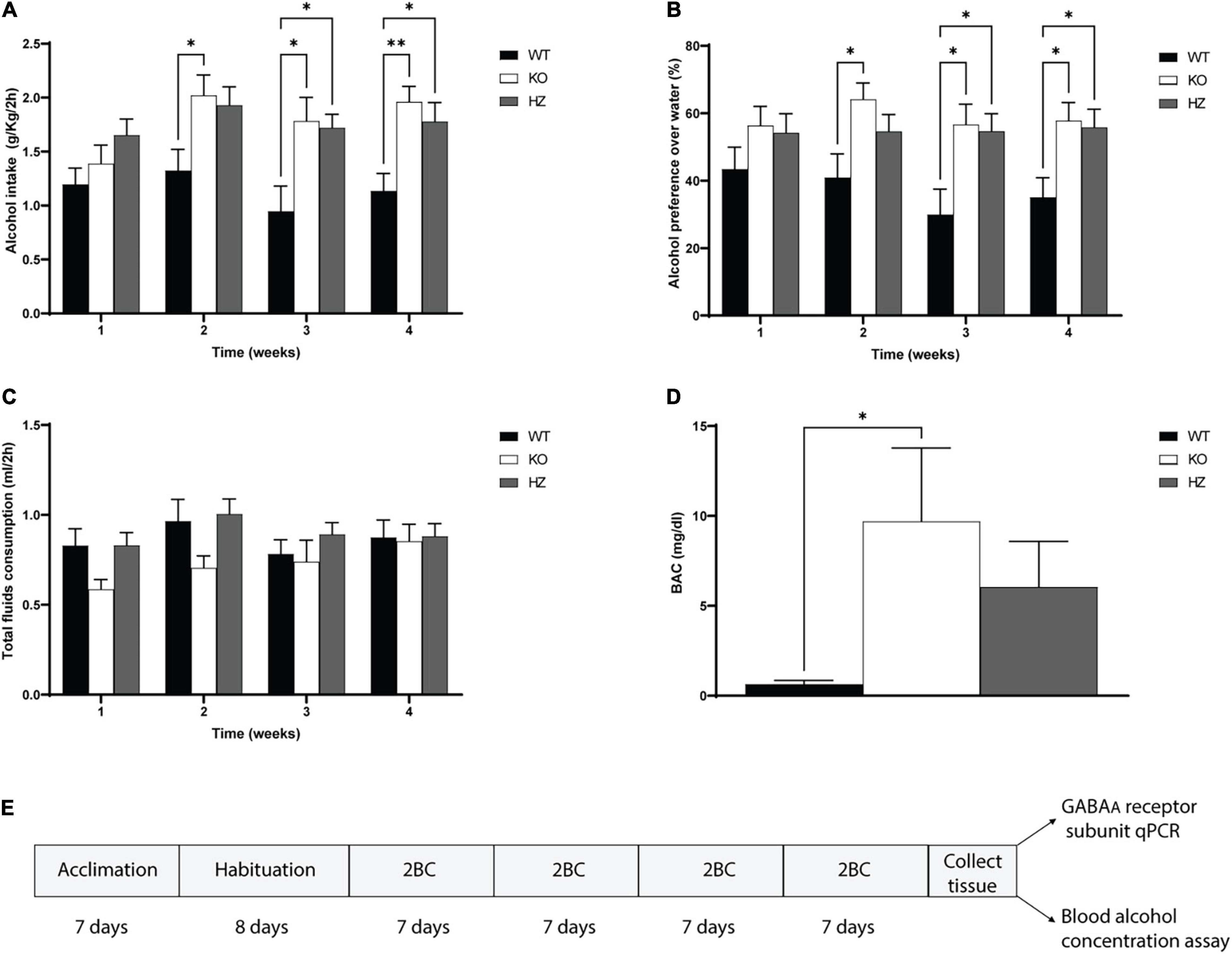 4559px x 3530px - Frontiers | Increased Voluntary Alcohol Consumption in Mice Lacking  GABAB(1) Is Associated With Functional Changes in Hippocampal GABAA  Receptors