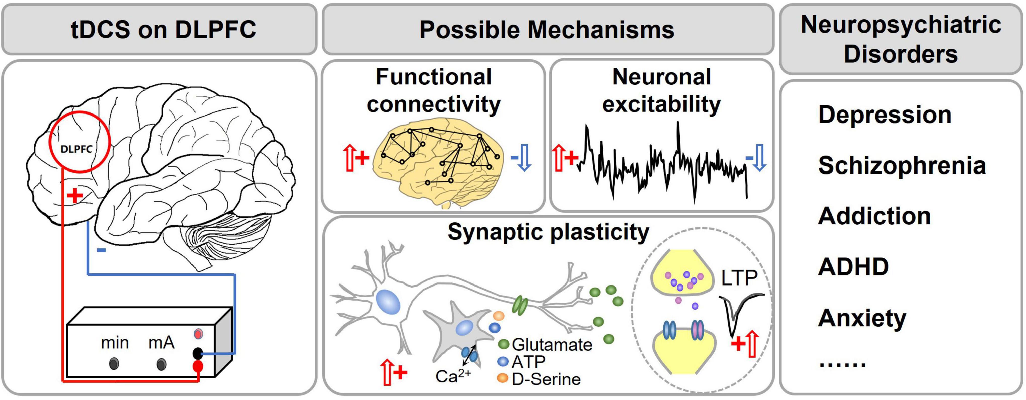 Frontiers Transcranial Direct Current Stimulation Of The Dorsolateral Prefrontal Cortex For