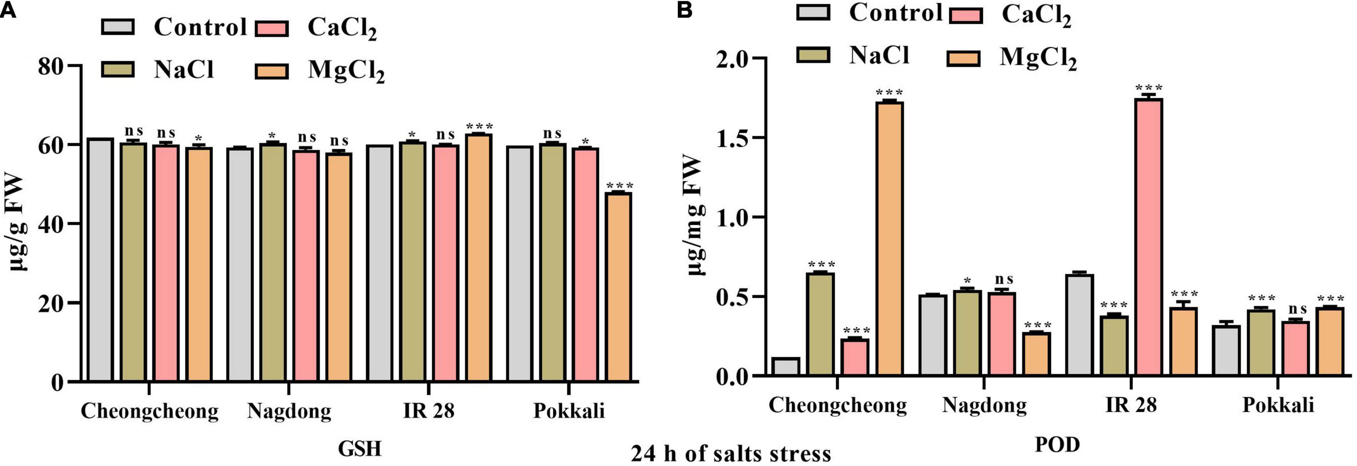 Frontiers | Effect of Different Salts on Nutrients Uptake, Gene ...