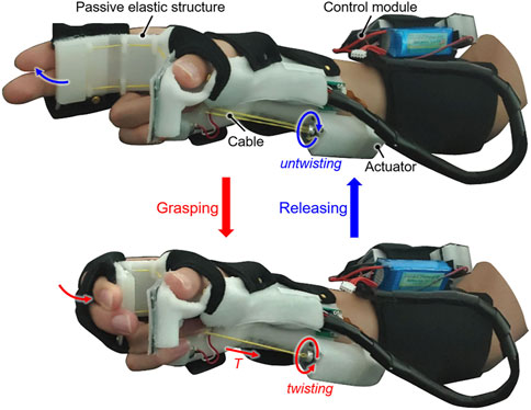 Passive back support exoskeleton: In the elastic spinal module, two