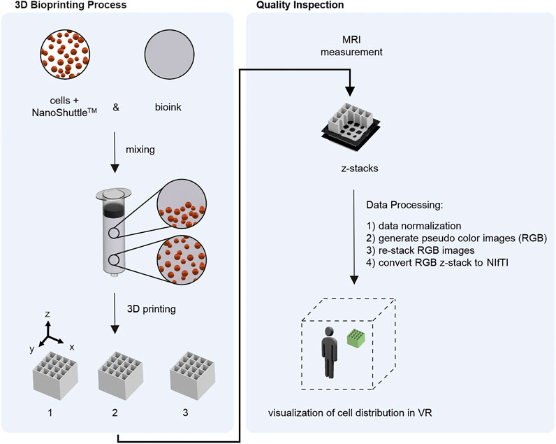 | Virtual Reality as for Bioprinting Quality Inspection: A Proof of Principle
