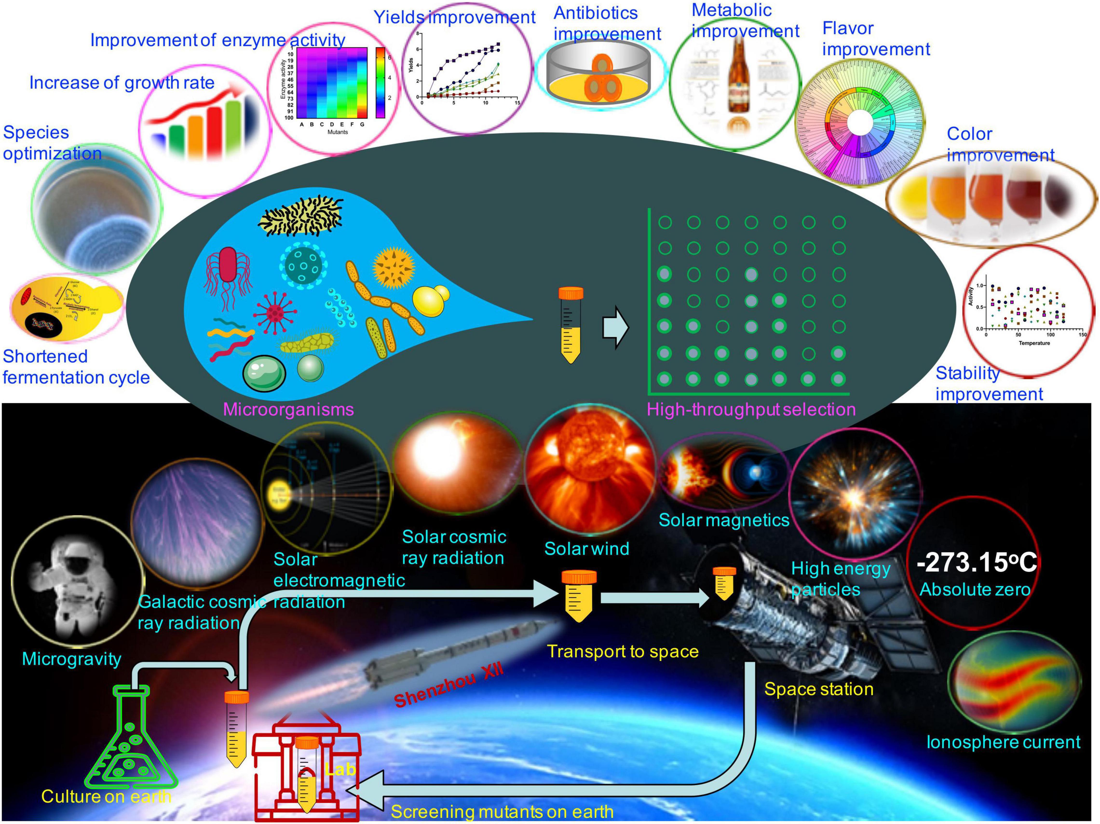 Microbial space travel on a molecular scale: How extremophilic