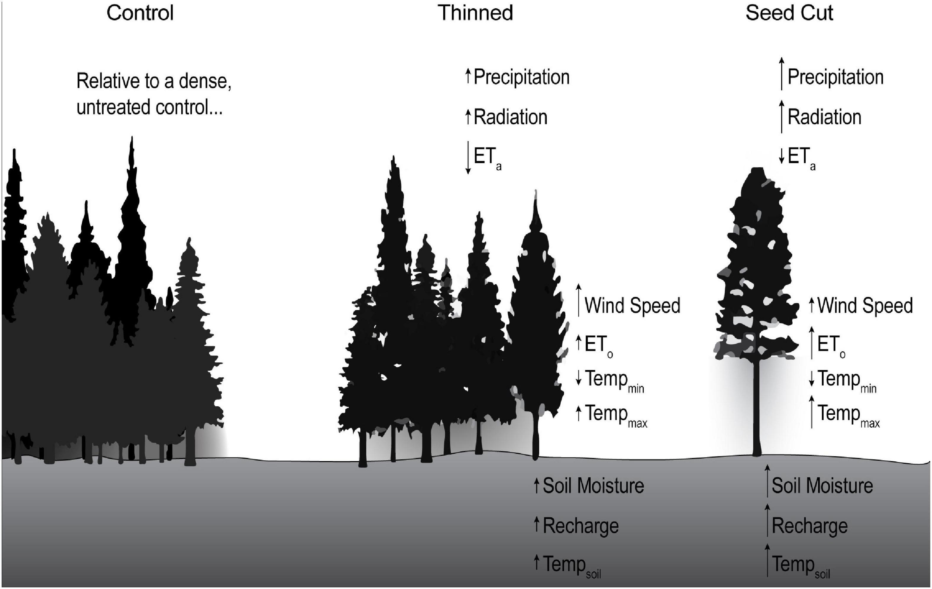 Frontiers | Soil moisture and micrometeorological differences