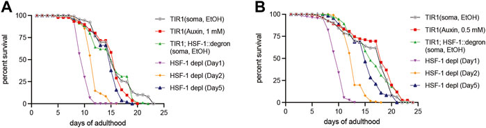 Frontiers | Auxin-Inducible Degron System Reveals Temporal-Spatial ...