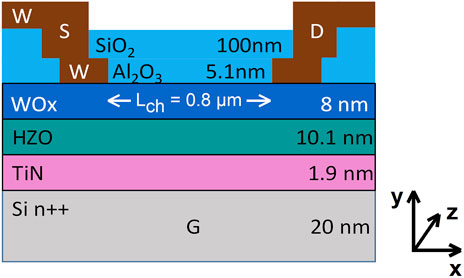 Frontiers | Physical modeling of HZO-based ferroelectric field 