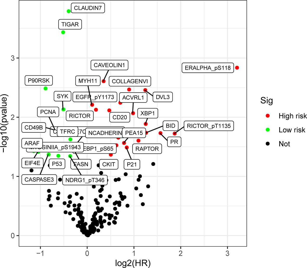 Frontiers | Screening Protein Prognostic Biomarkers for Stomach ...