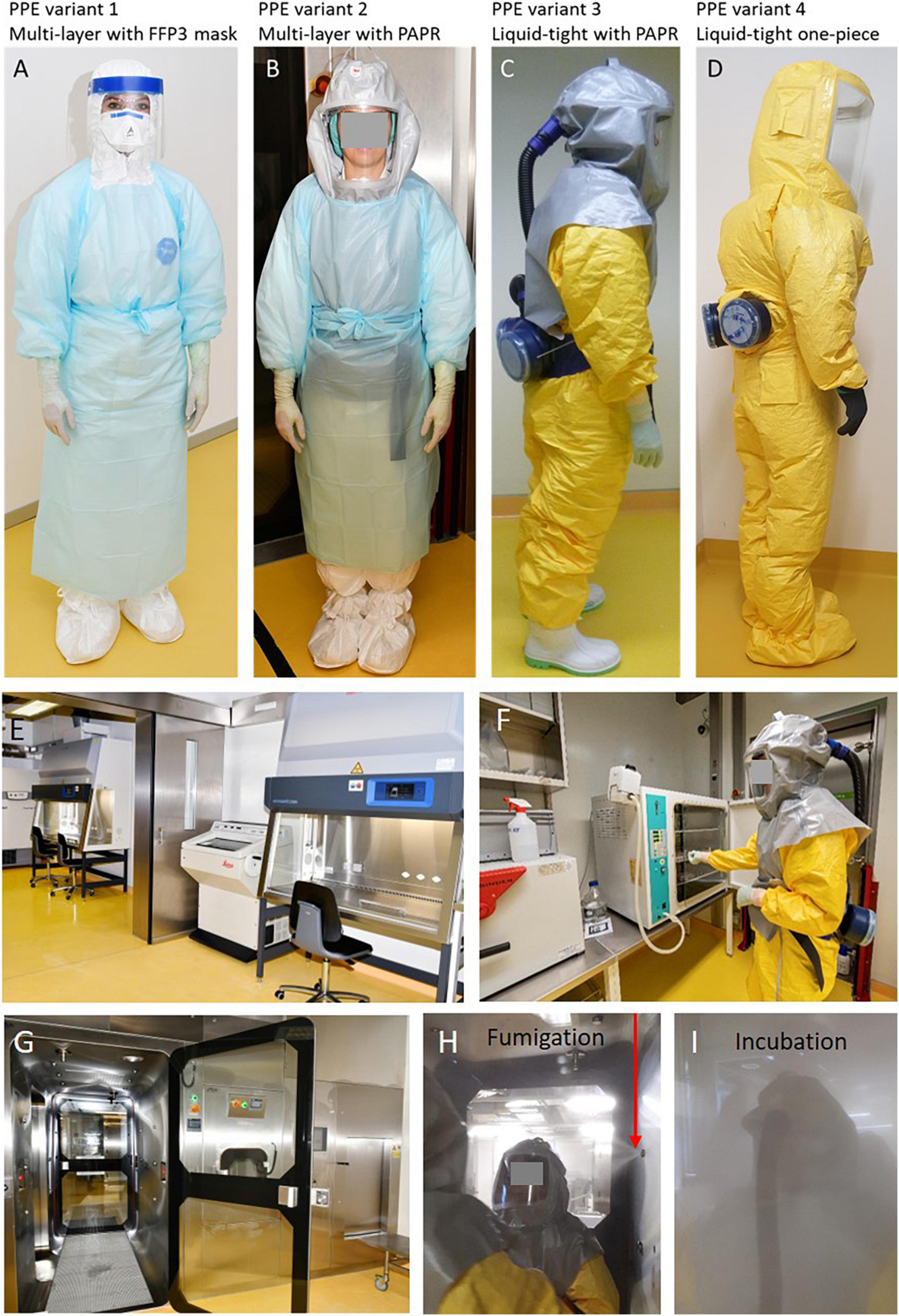 Frontiers  Resilience and Protection of Health Care and Research  Laboratory Workers During the SARS-CoV-2 Pandemic: Analysis and Case Study  From an Austrian High Security Laboratory