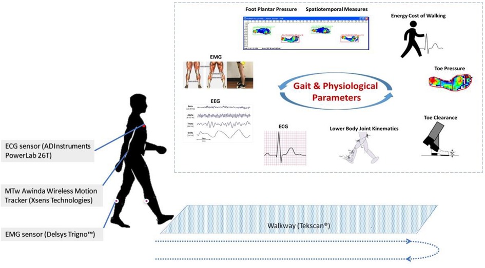 Frontiers  Review—Emerging Portable Technologies for Gait Analysis in  Neurological Disorders
