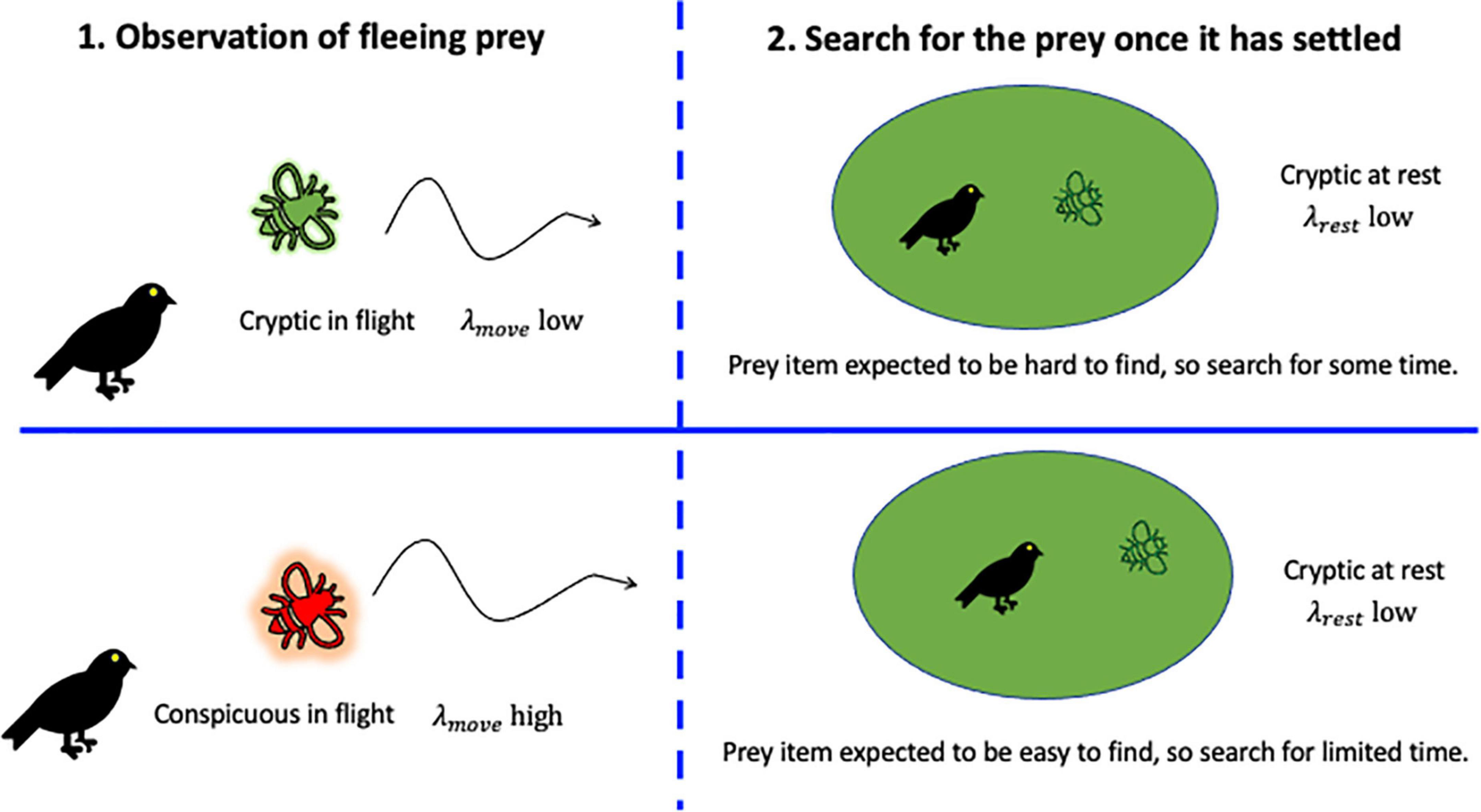 frontiers-the-adaptive-significance-of-flash-behavior-a-bayesian-model