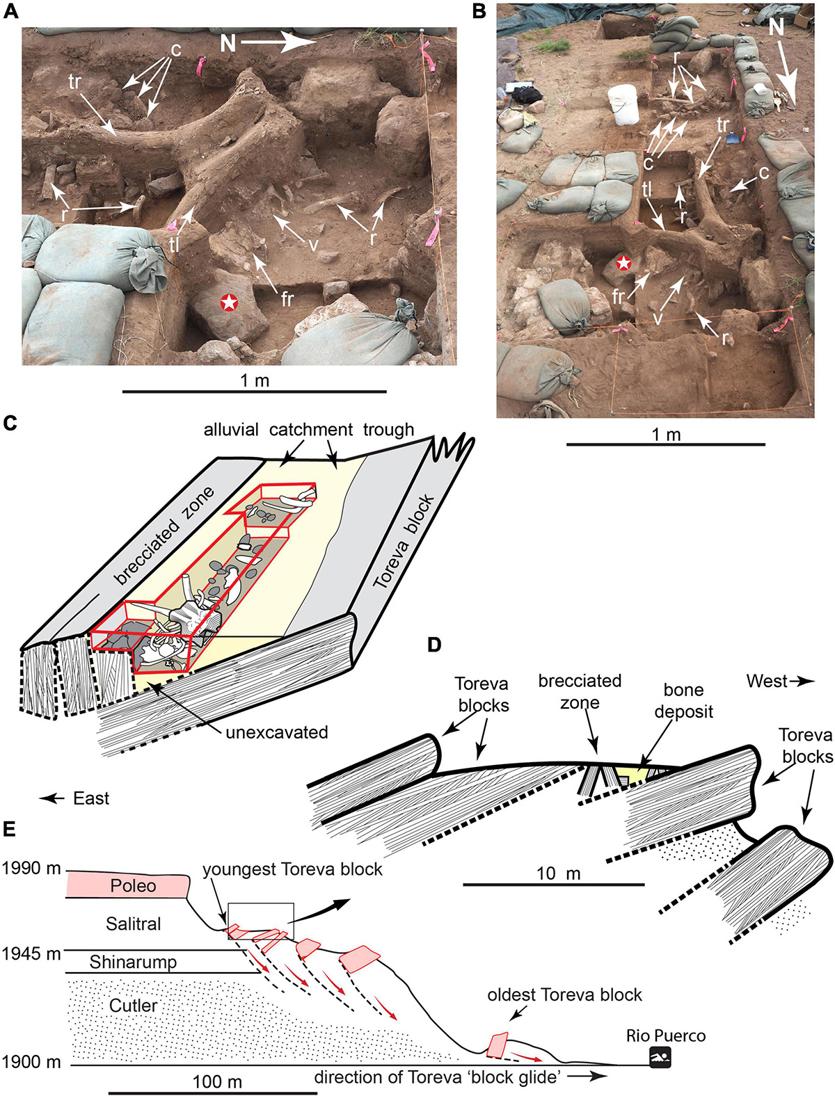Shemale Bent Over Forced Anal - Frontiers | Human Occupation of the North American Colorado Plateau âˆ¼37,000  Years Ago