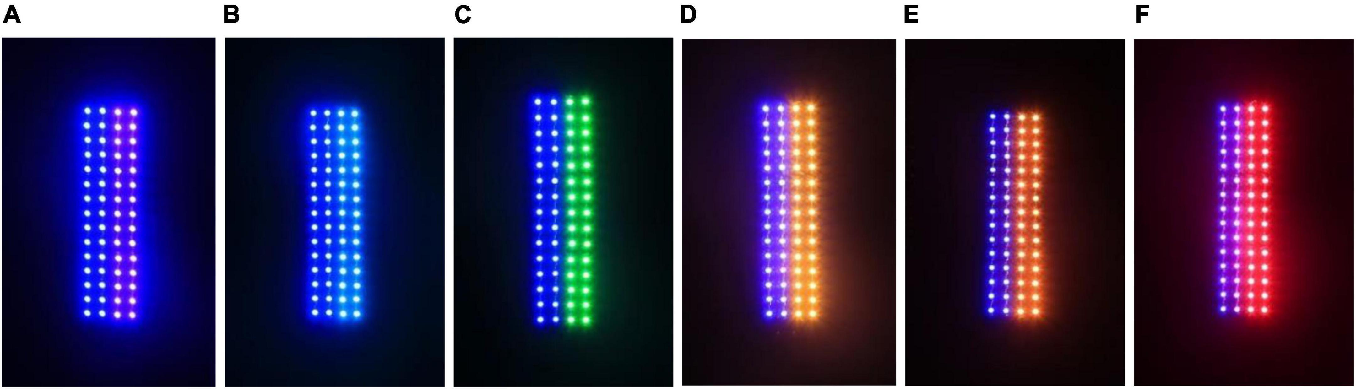Frontiers | Study about photoinduction-based technology for trapping ...