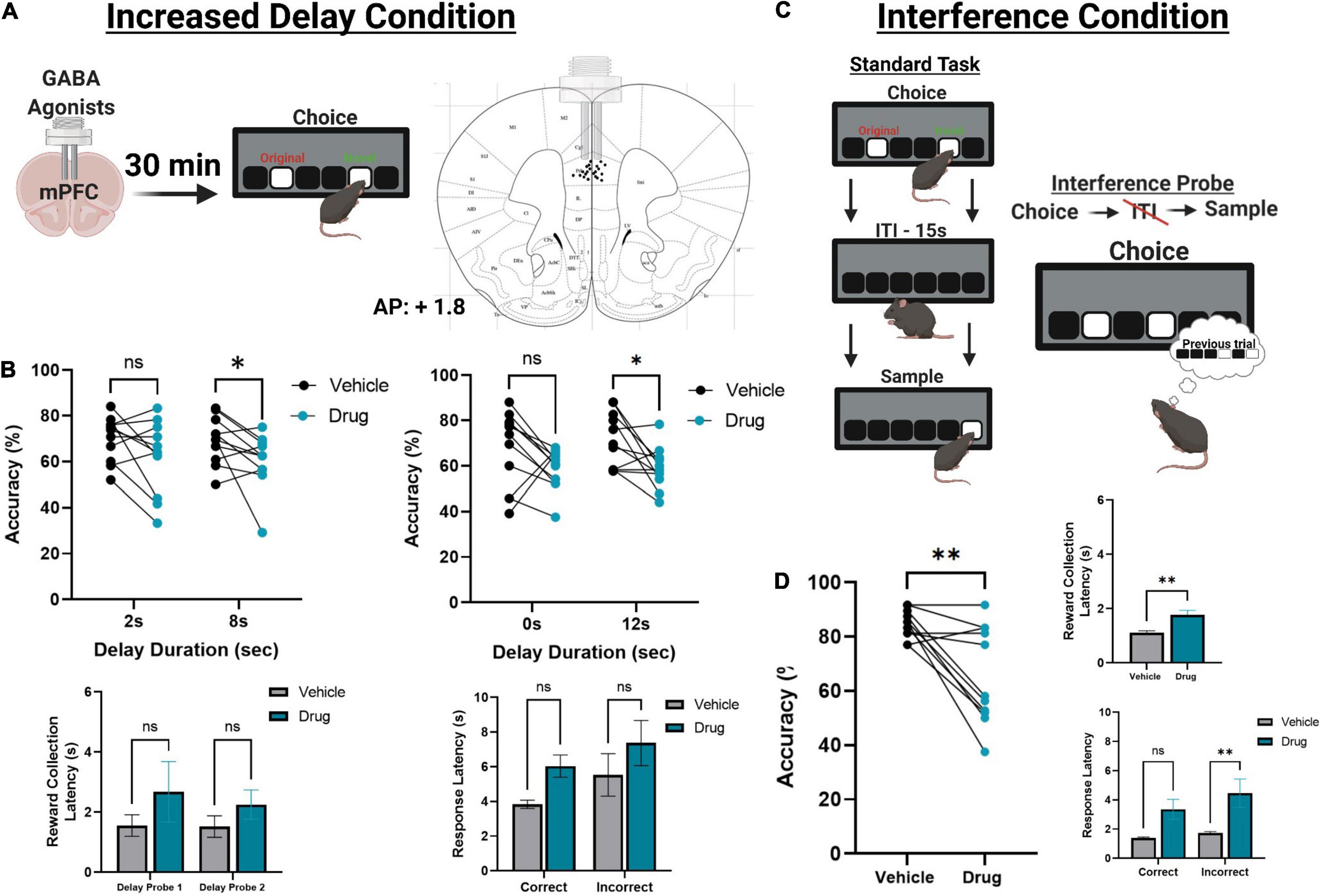 Frontiers  Decision Making as a Learned Skill in Mice and Humans