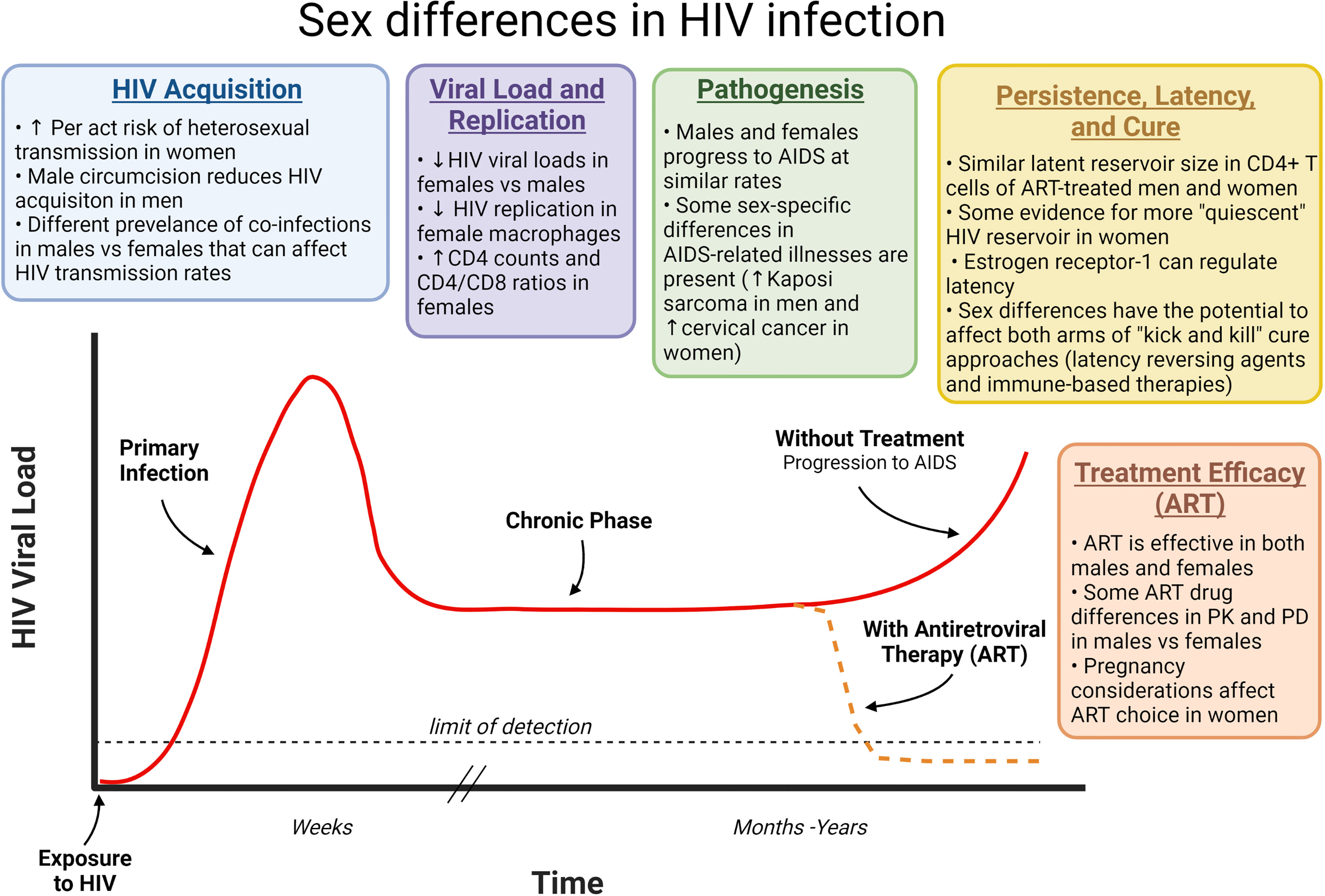 Frontiers Contribution Of Sex Differences To HIV Immunology 