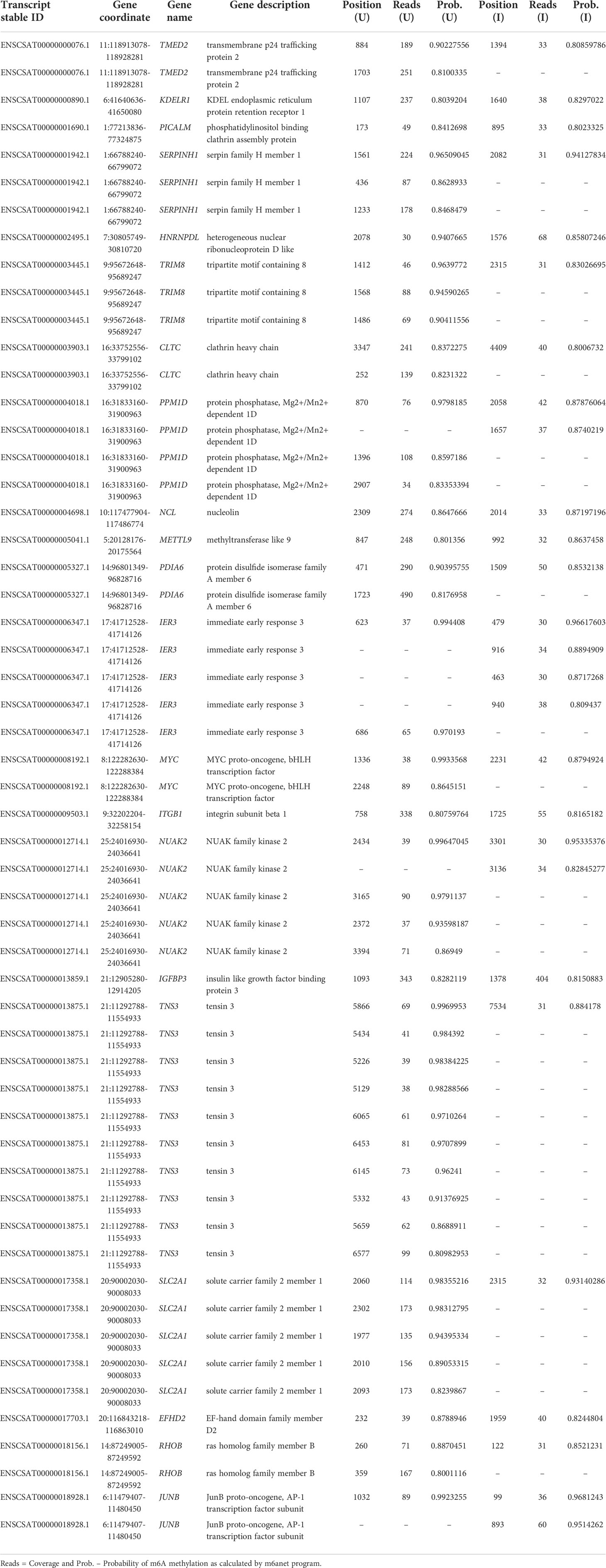 Frontiers | The epitranscriptome of Vero cells infected with SARS-CoV-2 ...