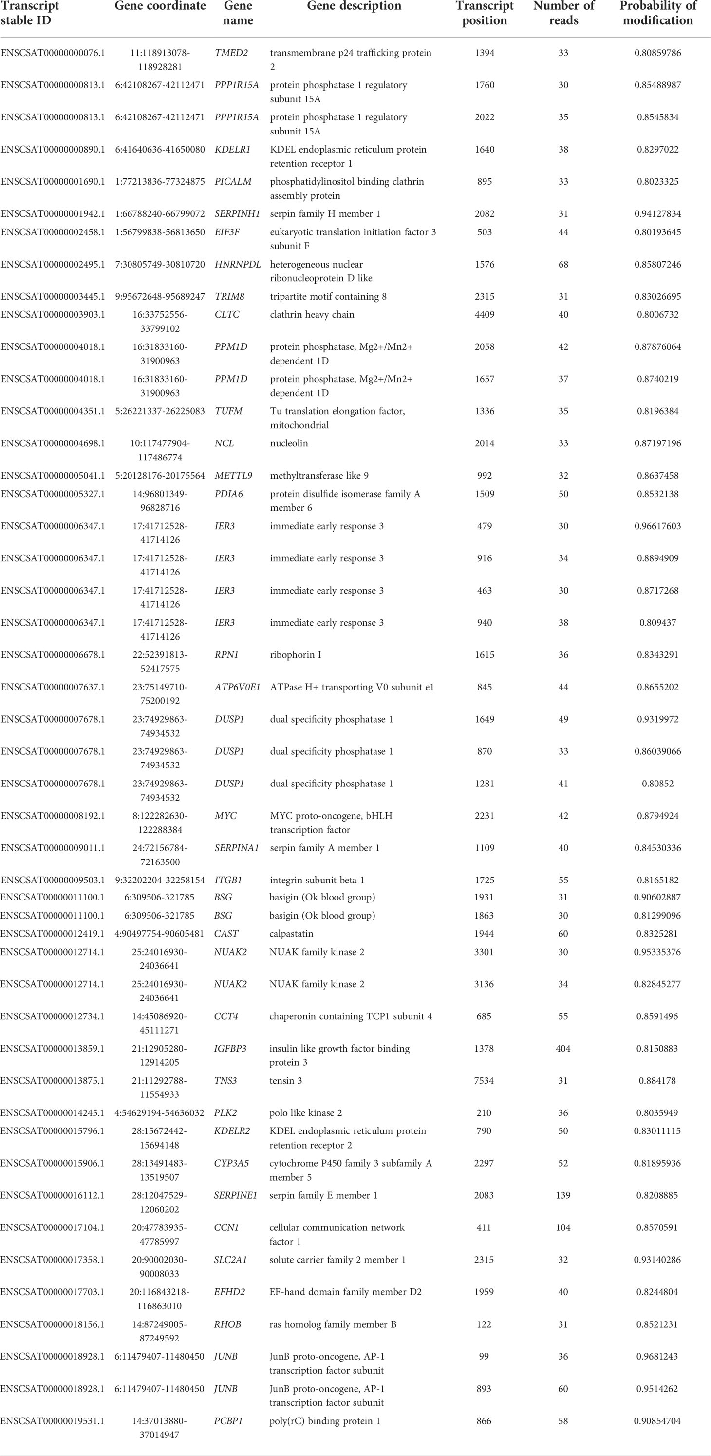 Frontiers | The epitranscriptome of Vero cells infected with SARS-CoV-2 ...