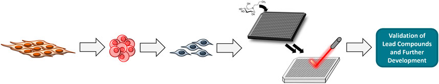 Presynaptic Dysfunction in Neurons Derived from Tay–Sachs iPSCs