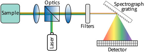 Low-latency time-of-flight non-line-of-sight imaging at 5 frames per second