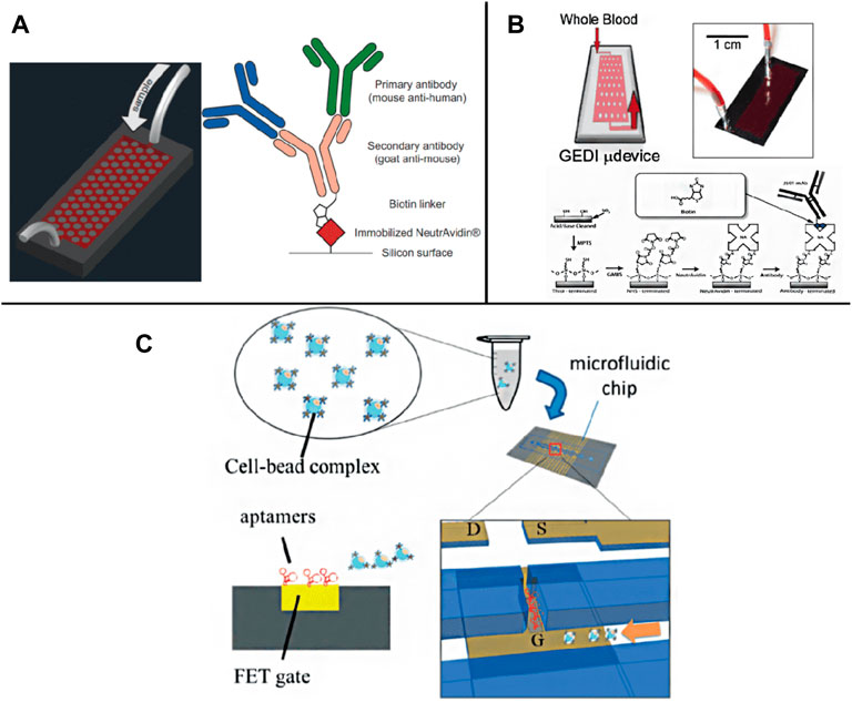 Frontiers  Application of Microfluidics in Detection of Circulating Tumor  Cells