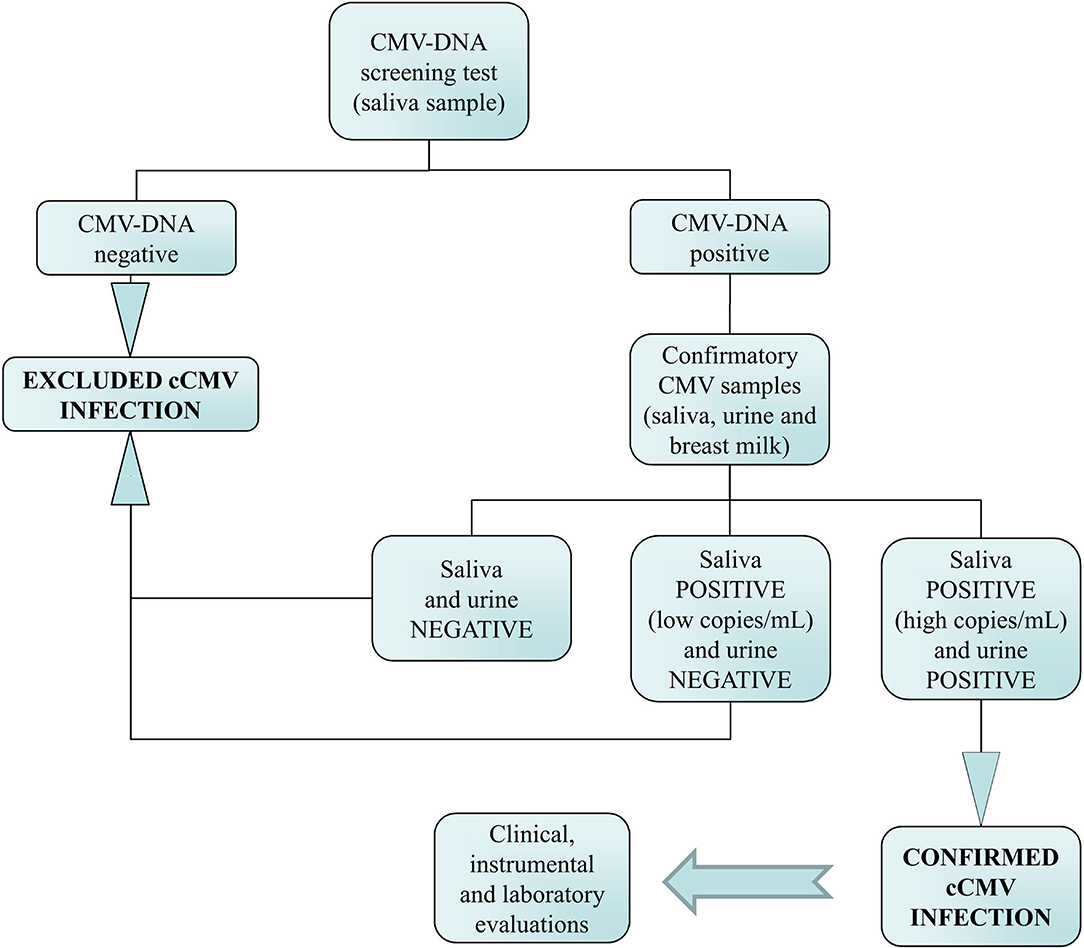 Frontiers  Universal Newborn Screening for Congenital Cytomegalovirus  Infection – From Infant to Maternal Infection: A Prospective Multicenter  Study