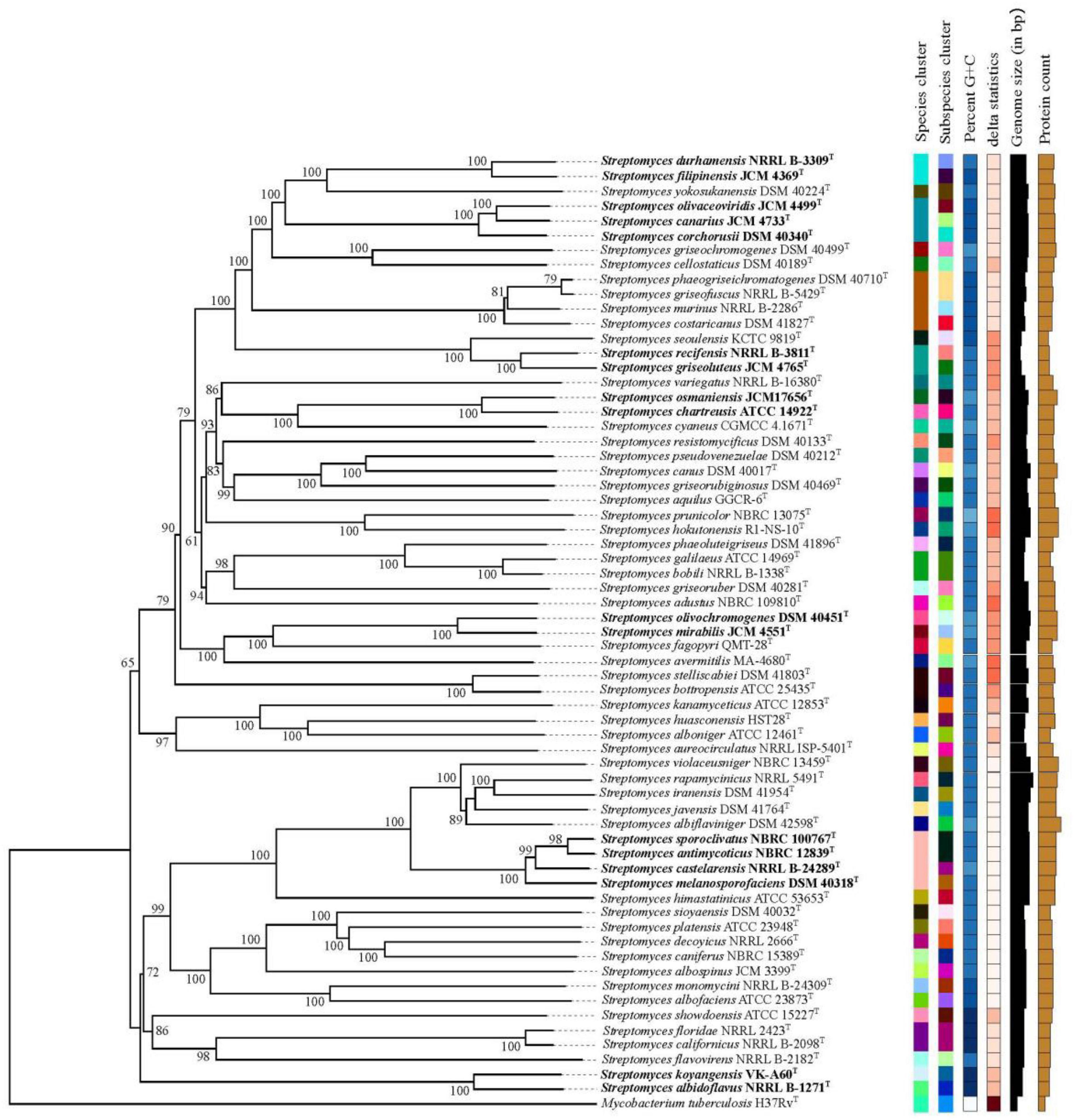 Frontiers  New Insights Into the Threshold Values of Multi-Locus Sequence  Analysis, Average Nucleotide Identity and Digital DNA–DNA Hybridization in  Delineating Streptomyces Species