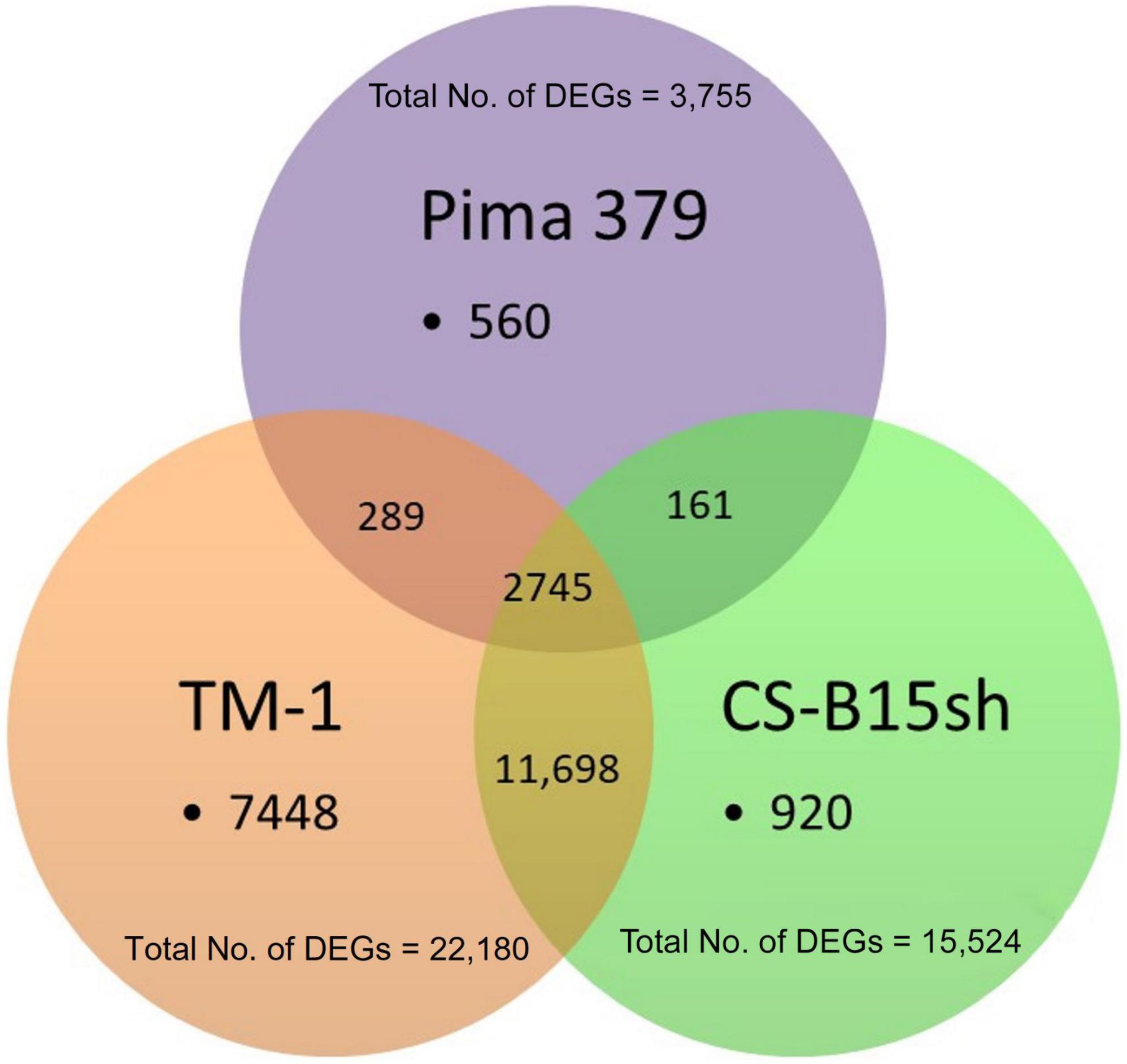 frontiers-transcriptome-analysis-of-the-2-4-dichlorophenoxyacetic