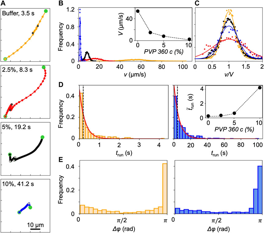 Frontiers Transport Of Pseudomonas Aeruginosa In Polymer Solutions   Fphy 10 910882 G002 