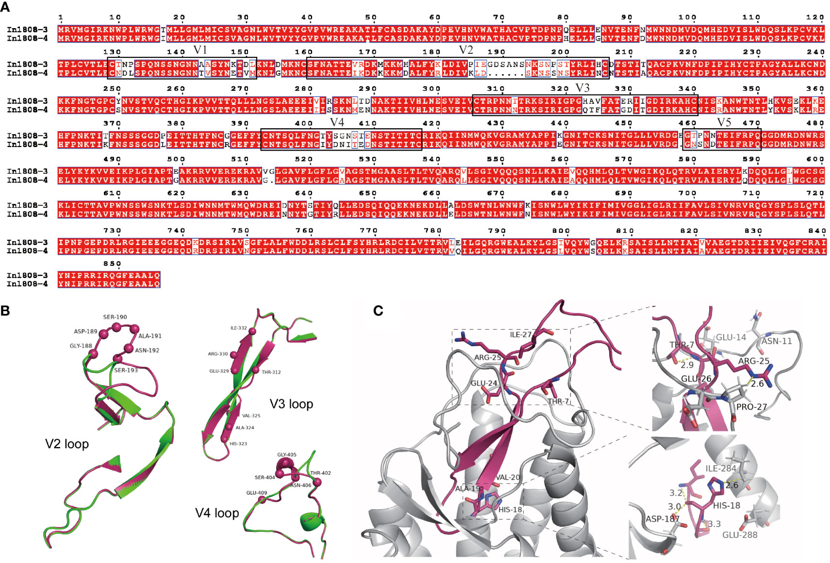 Frontiers | Unique Profile Of Predominant CCR5-tropic In CRF07_BC HIV-1 ...