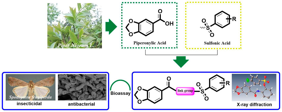 Frontiers | Synthesis and Bioactivities of Novel Piperonylic Acid ...