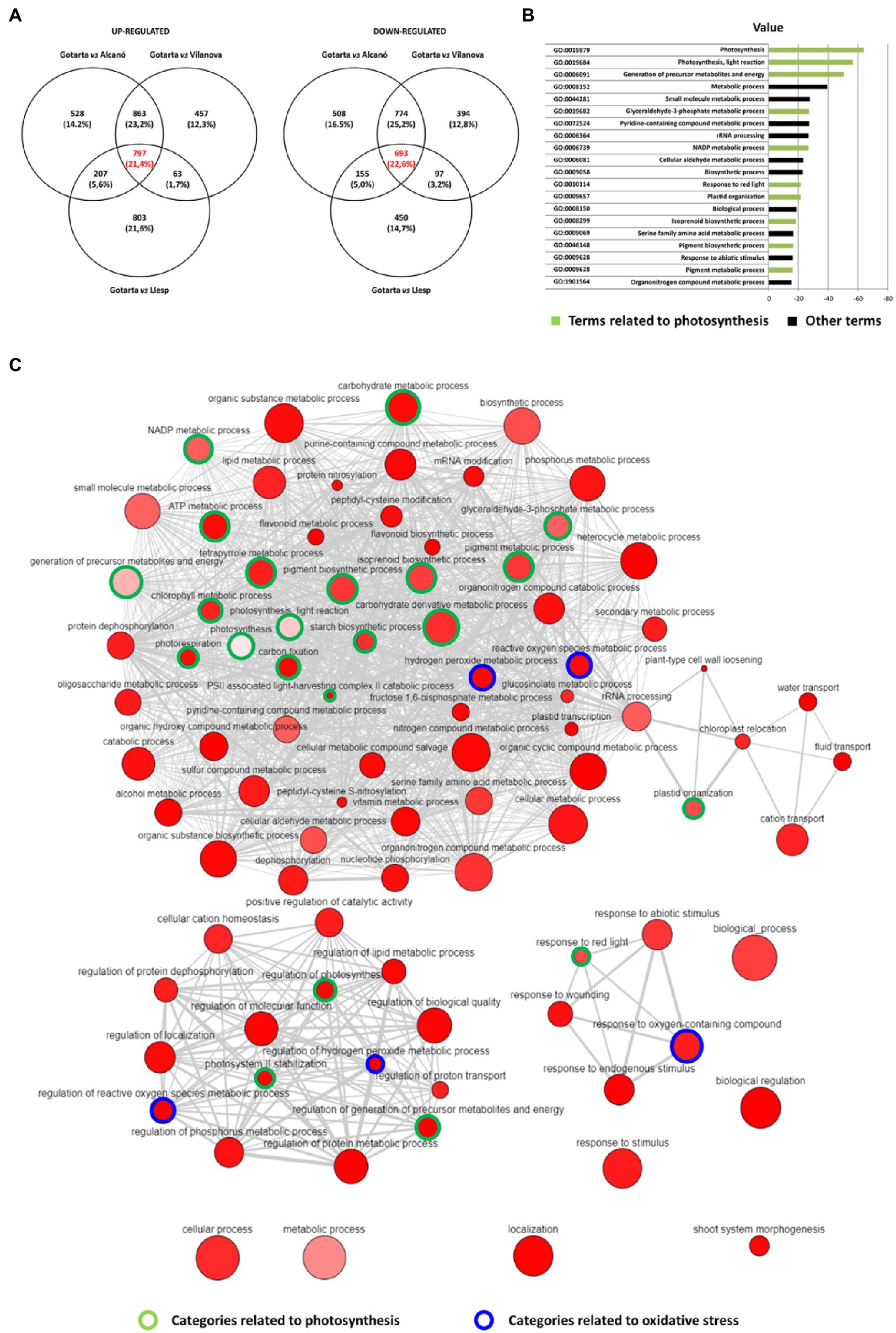 Transcriptomic and Metabolic Analyses Provide New Insights into the Apple  Fruit Quality Decline during Long-Term Cold Storage