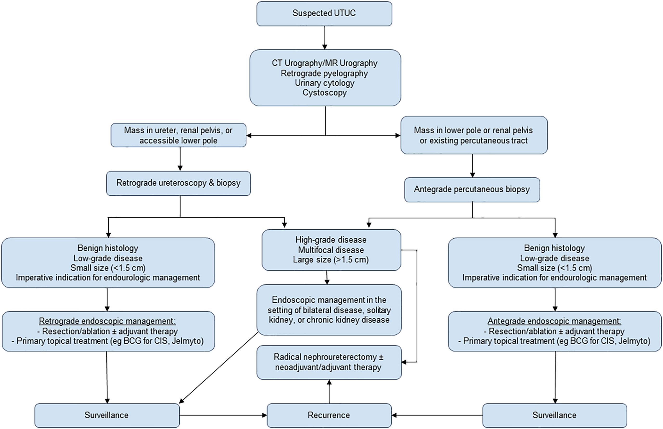 Frontiers The Role Of Endoscopic Management And Adjuvant Topical 